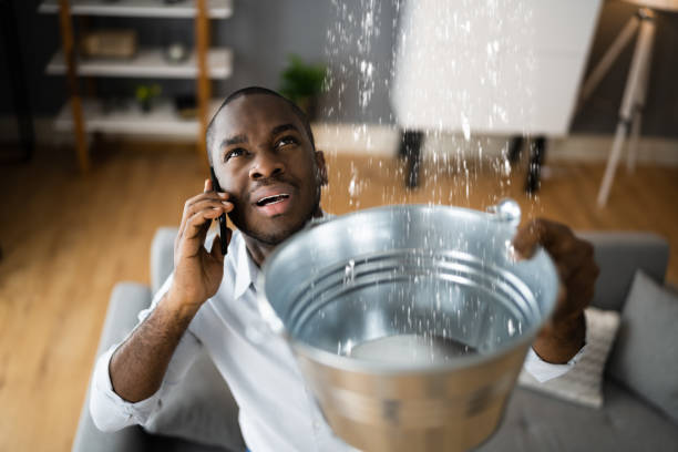 Best Ceiling water damage repair  in Pine Bluff, AR