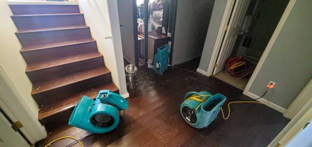Best 24-hour water damage restoration  in Pine Bluff, AR