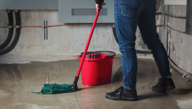 Best 24/7 water damage repair  in Pine Bluff, AR