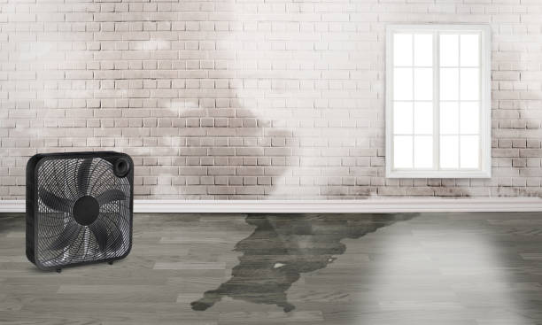 Best 24-hour water damage restoration  in Pine Bluff, AR