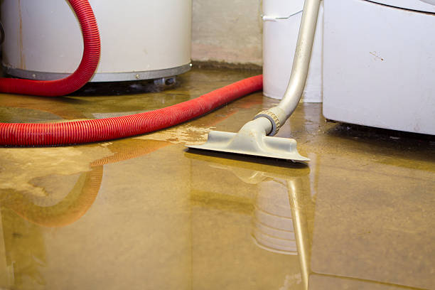 Best Commercial water damage restoration  in Pine Bluff, AR