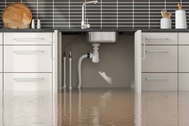Best Water damage restoration services  in Pine Bluff, AR