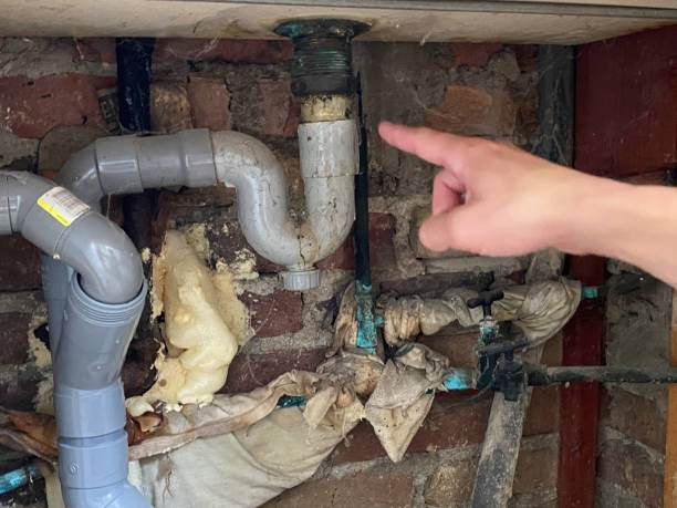 Best Water damage contractors near me  in Pine Bluff, AR