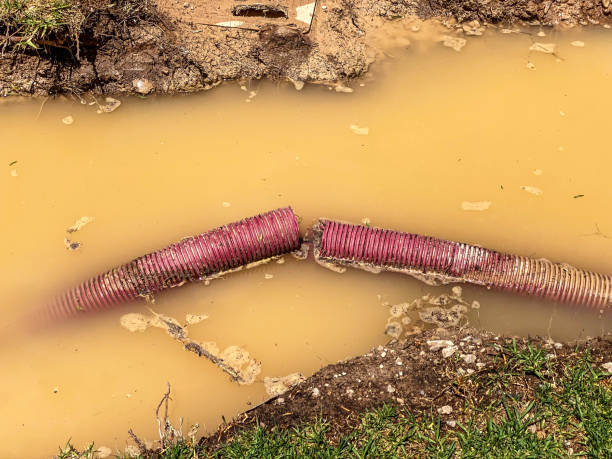 Carpet water damage restoration in Pine Bluff, AR