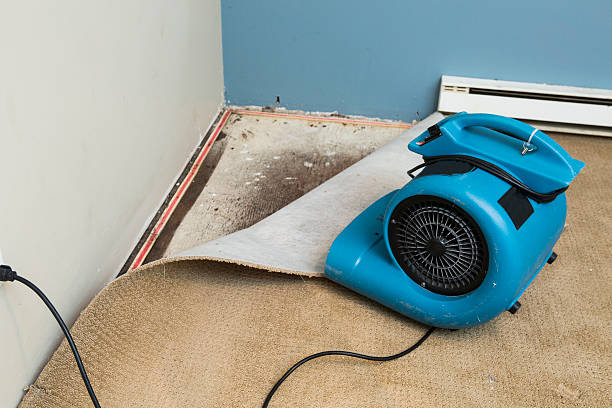 Best Local water damage restoration  in Pine Bluff, AR